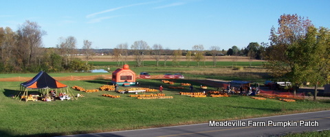 Meadeville Farm